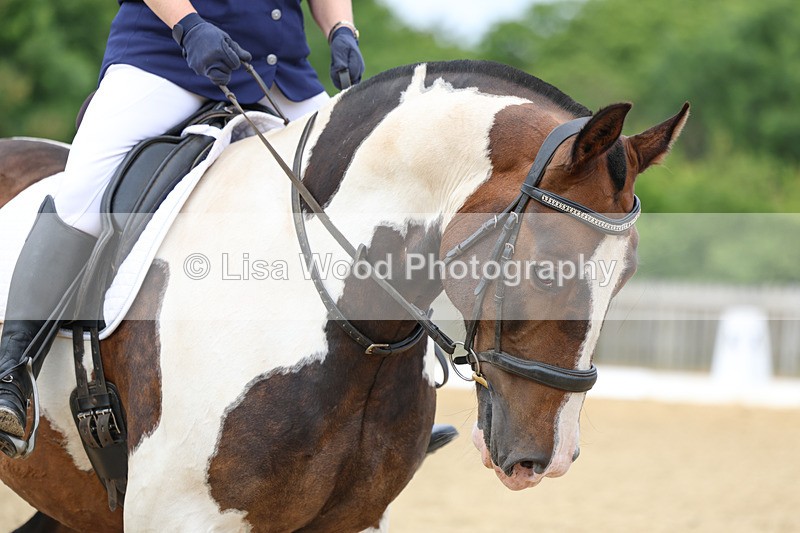 3E7A9205 - Class 2: Intro 1 2024 Section B