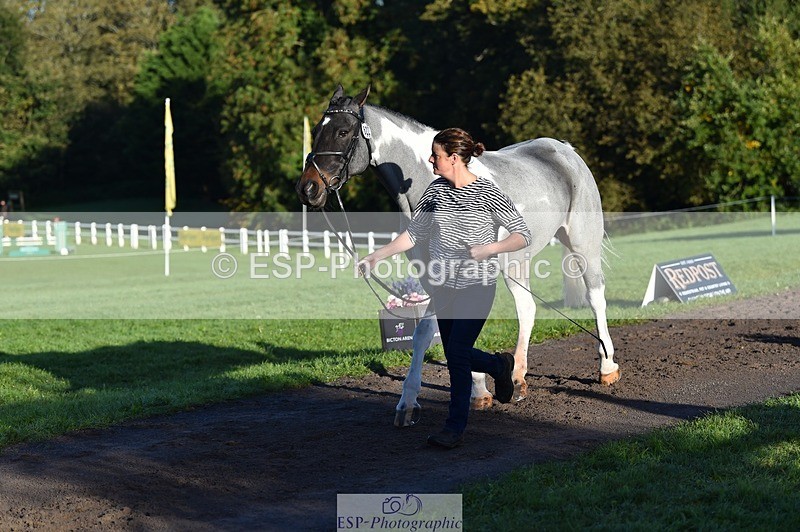 231022-092220-21737 - 622-CRAFTY.WIZARD-Heather.Urquhart-TrotUp+SJ