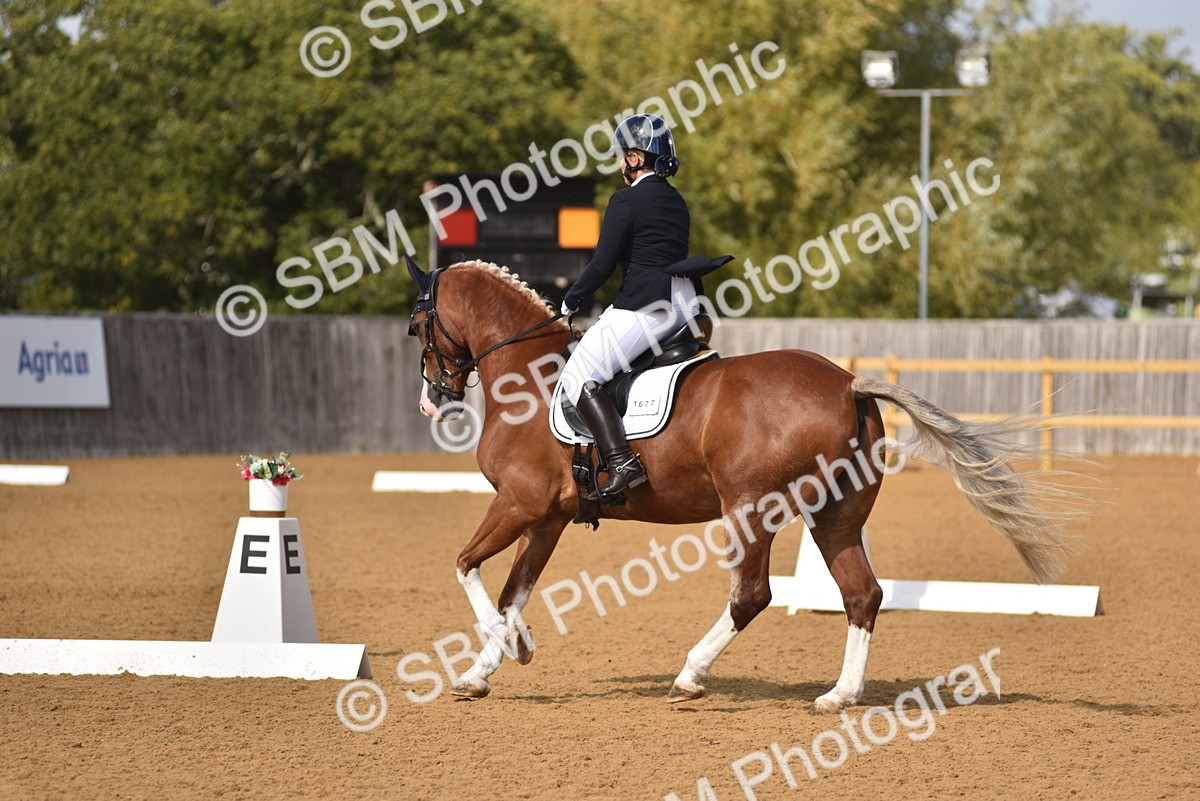 SBM_07822