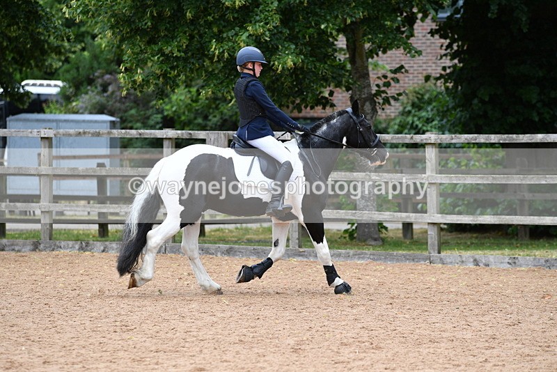 WJ5_6115 - Club 50cm