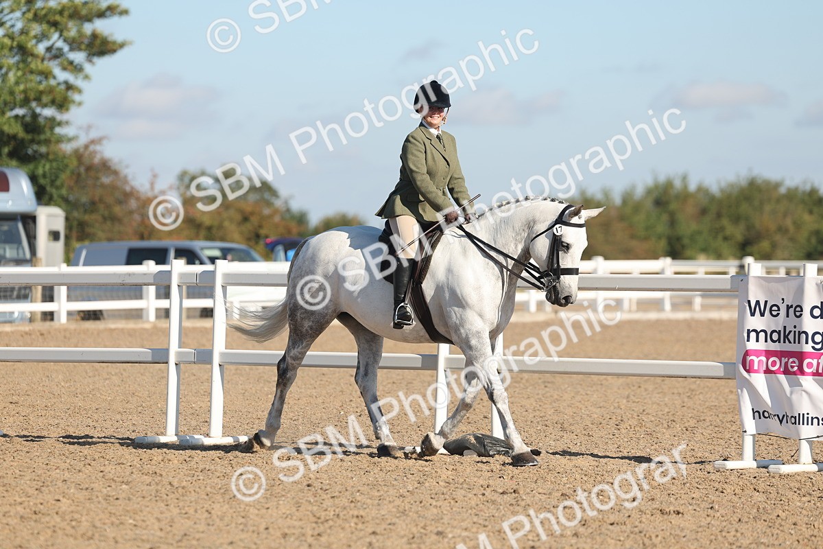 SBM_12298 - Class 304 - Ridden part Bred Horse Pony