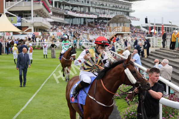 yr24072021r2-7 - Race 2 2.40pm Sky Bet Dash