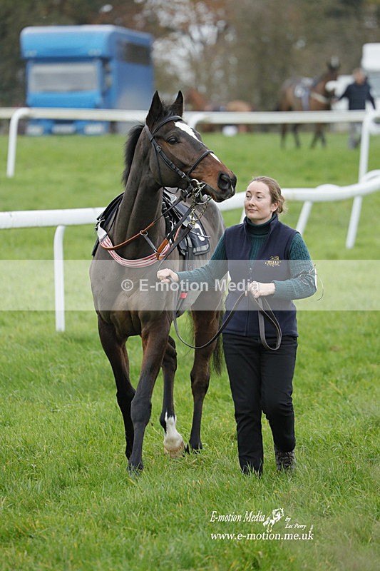 PtP 271122 177 - Hursley Hambledon Hunt Point-to-Point - Larkhill - 27/11/22