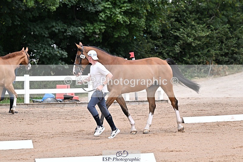 250716-130254-00289 - Trot Up 12.30 to 1.30