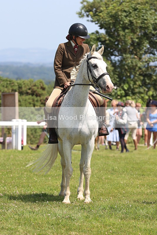 JPP_2677 - Class 21: Working Hunter 60cm