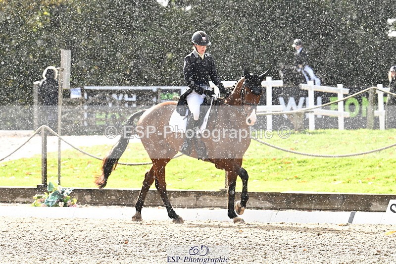 251023A-144612-05593 - B-156-Eres.Parry