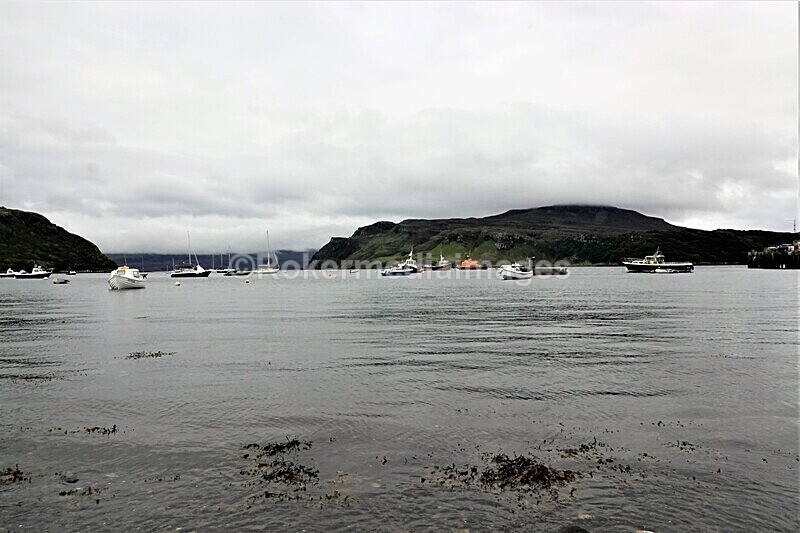 DSC07898 - SEPT 2020 STAYCATION