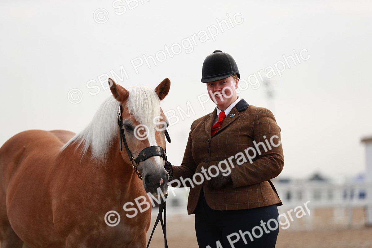 SBM_09521 - Class 201 Best Turned Out IH