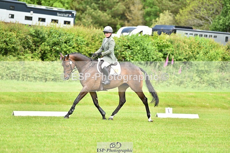 240523B-111730-01923 - 5 Year Old