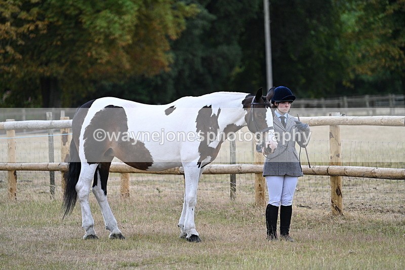 WJ7_8841 - Class 4a Prettiest Mare 14.2hh and over