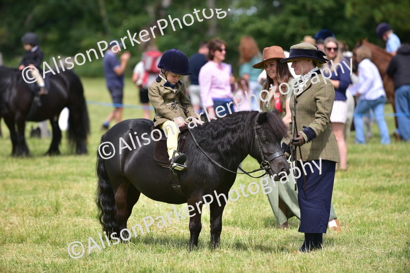 20260614-1216 - Class 11a - Lead Rein Pony (Unplaited)