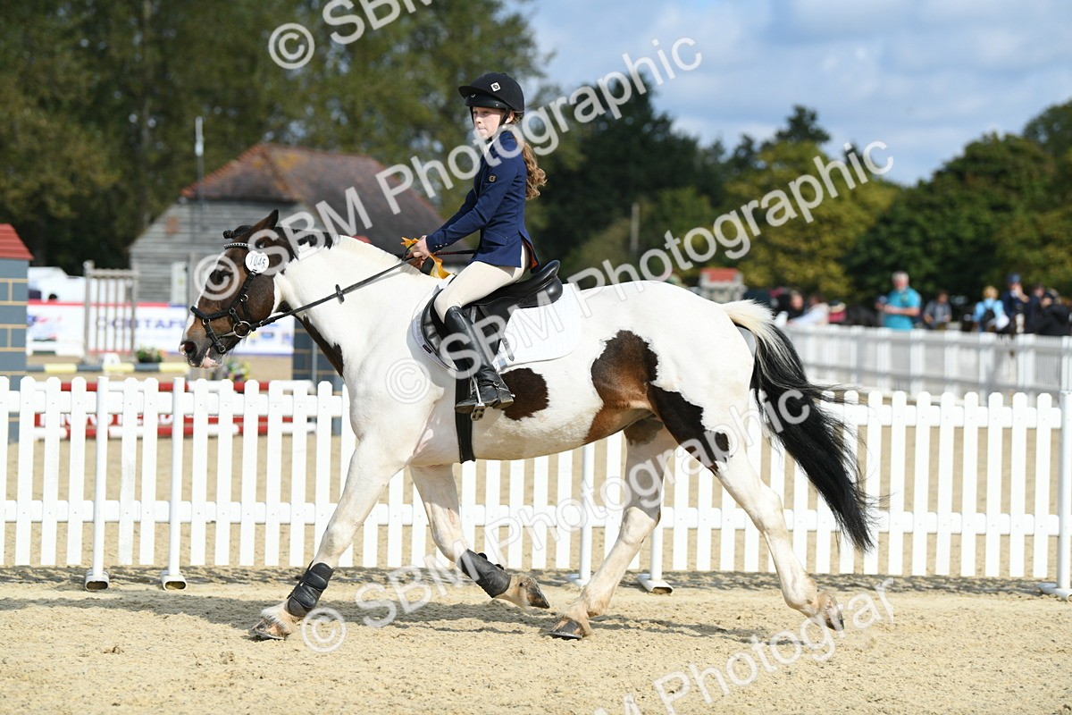 SBM_61836 - j25 - Junior Horse 80cm Championship