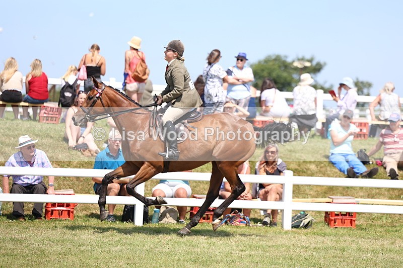 3E7A9371 - Class 12: Open Racehorse to Show Horse