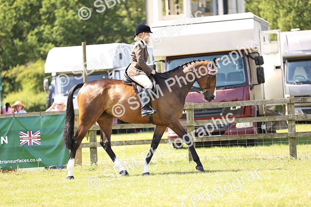 SBM_14837 - Class 78 - LIHS BSHA Open Racehorse & Show Horse