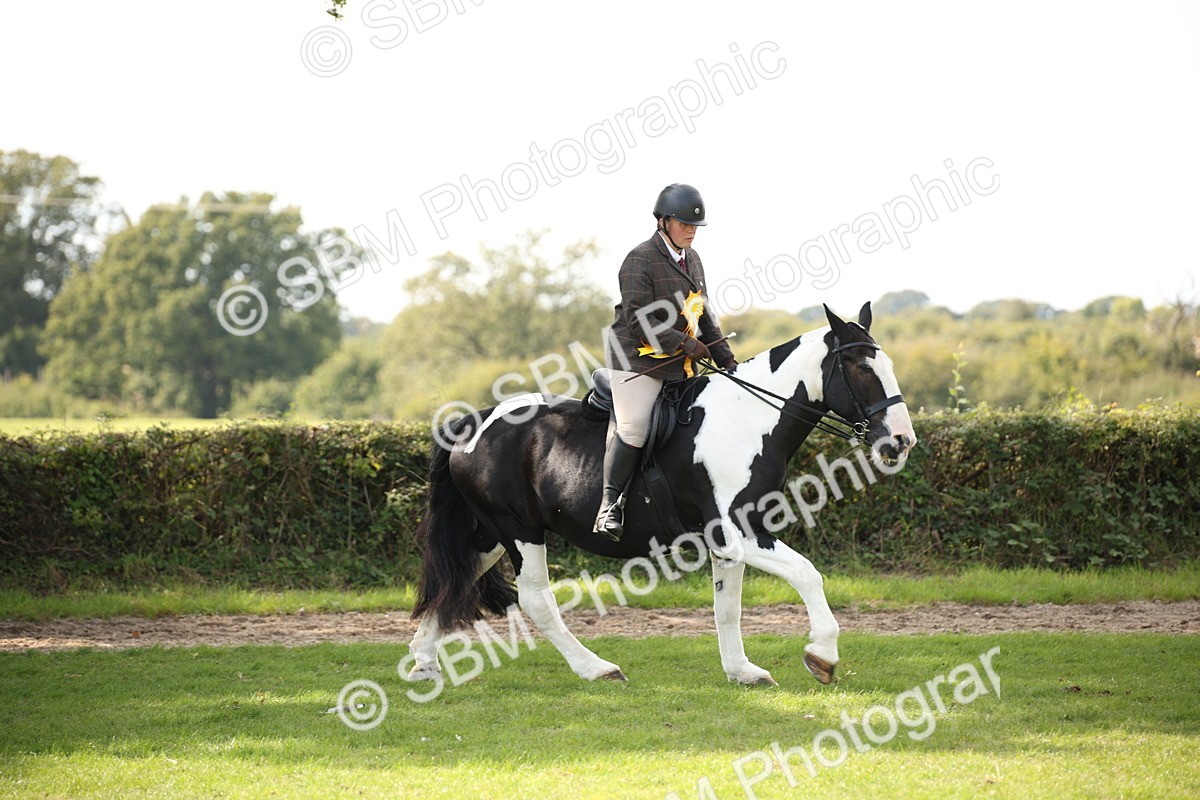 SBM_70166 - S65 - Piebald & Skewbald Horse Ridden