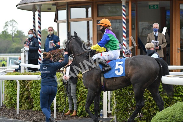 yr14052021r6-9 - Race 6 4.15pm Yorkshire Equine Practice Stakes