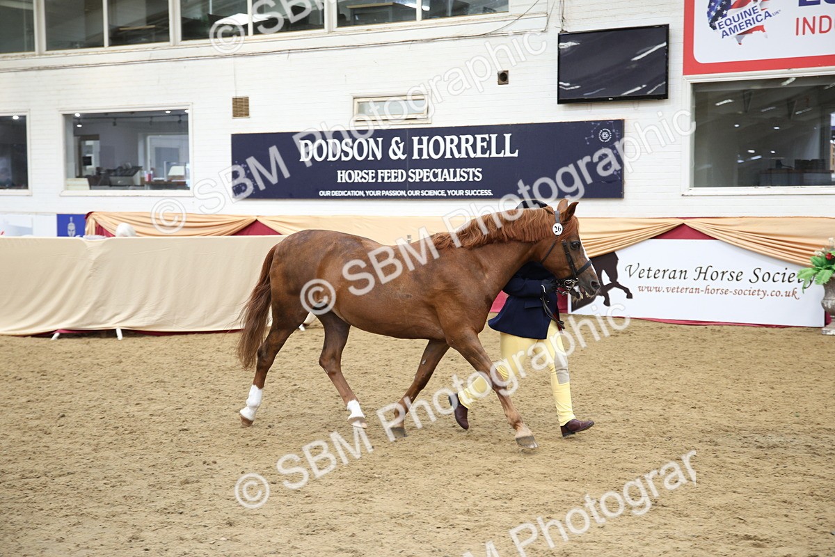 SBM_23430 - Class 904 - Supreme Final Ridden Diamond