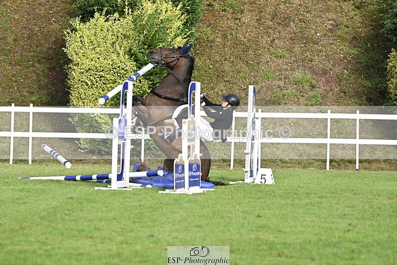 250831A-084152-09039 - Cls 34 Snr Foxhunter