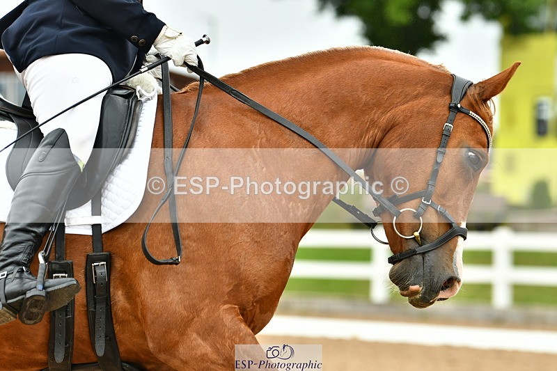 230630A-130505-02284 - Cls 8 Elementary 57