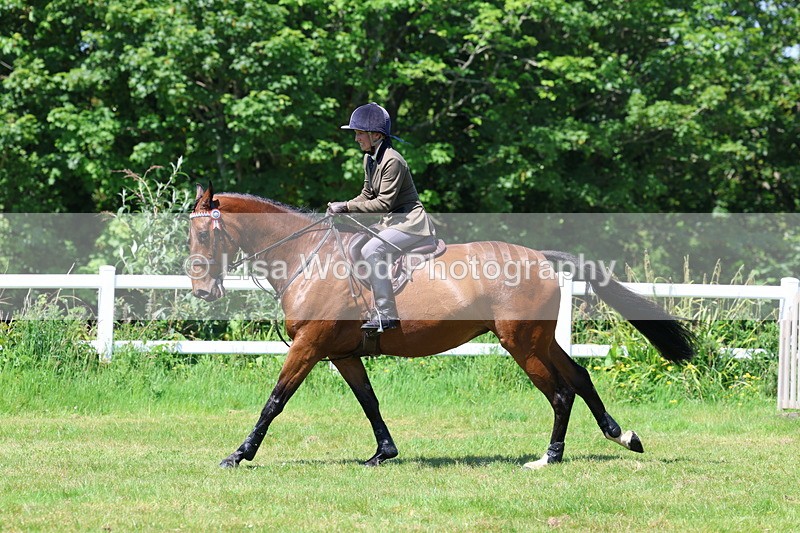 3E7A7468 - Class 31: Working Hunter Cob/Riding Horse
