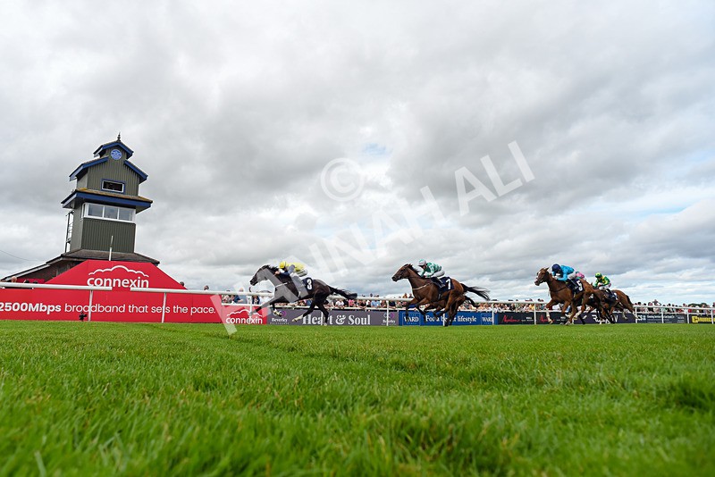040726-Race 5-Porth Eilian-5909 - Race 5 16.35pm Weatherbys Global Stallions App Coconut Cup Fillies' Handicap