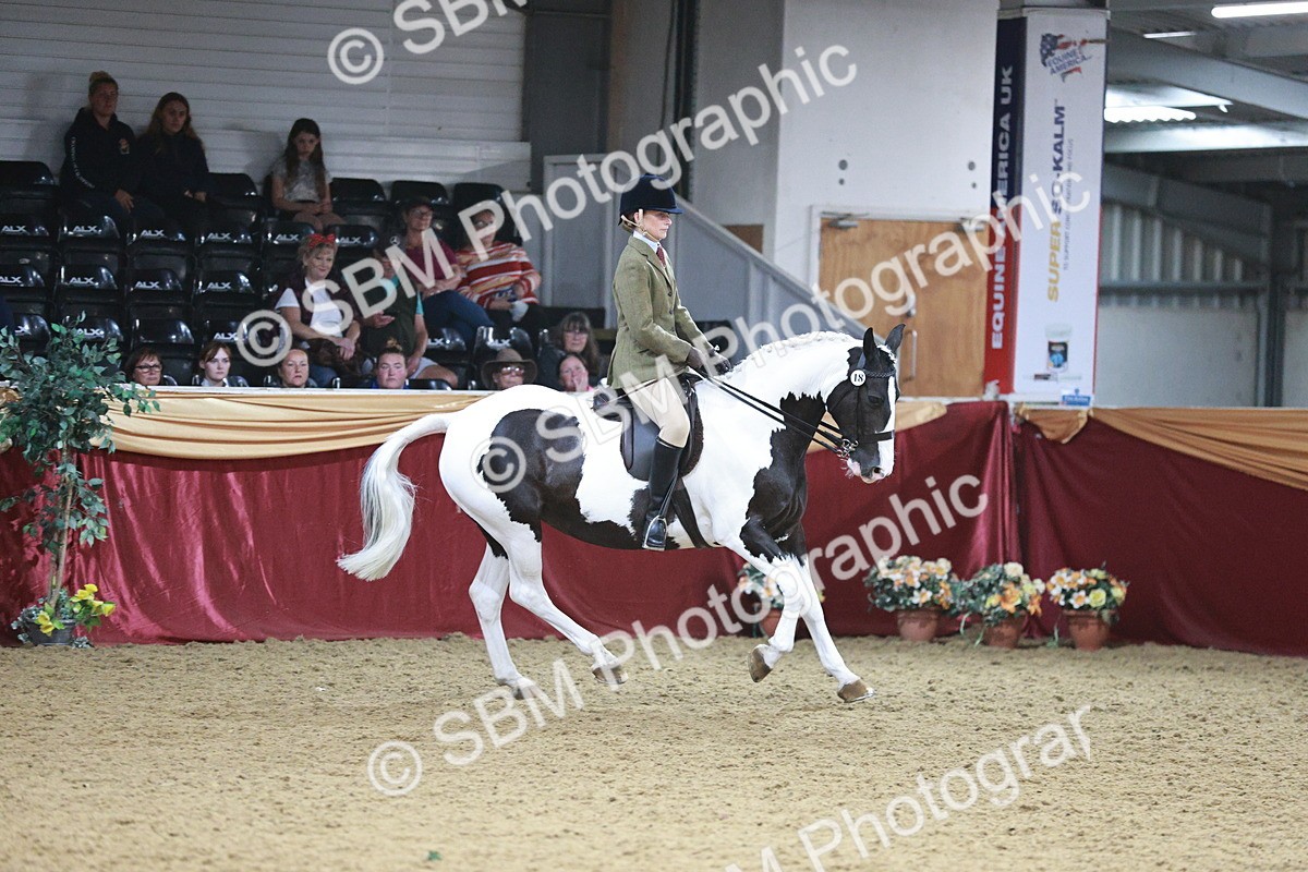 SBM_09106 - Class 12R - Regional Ridden Pre-Vet