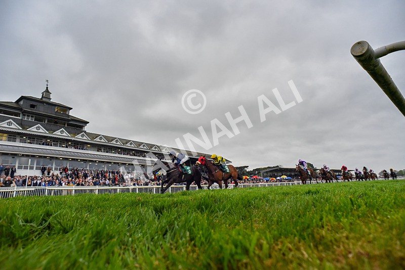 040524-Race 6-Vocal Studies-4491 - Race 6