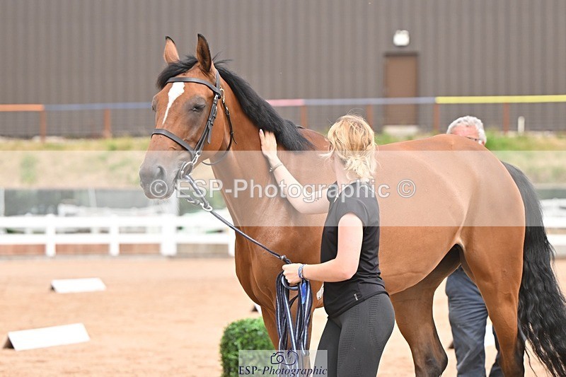 250716-153539-02041 - Trot Up 3.30 to 4.30