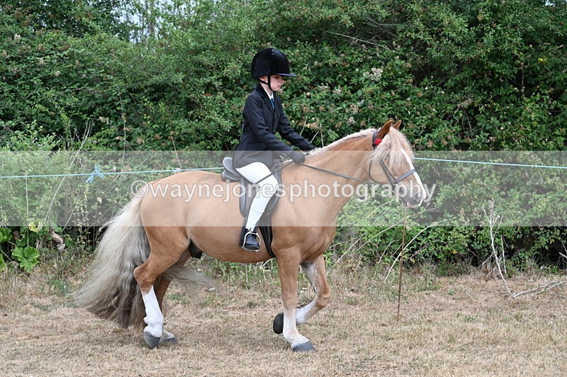 WJ7_6949 - Class 2 Best Rider