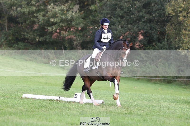 231019-142654-03986 - 444-REDHILL.SKANDEL-Emma.Stokes-DR