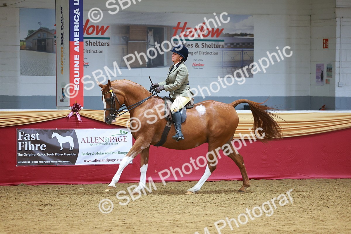 SBM_06091
