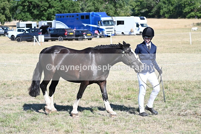 WJ7_2017 - Class 44 Child's Best Friend