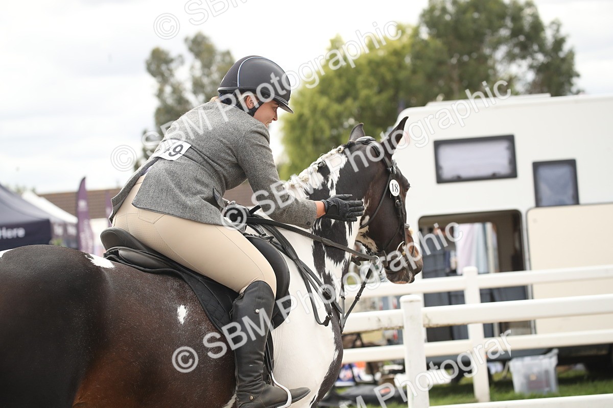 SBM_16629 - Class 507a - Working Veteran - 60cm (15-19)