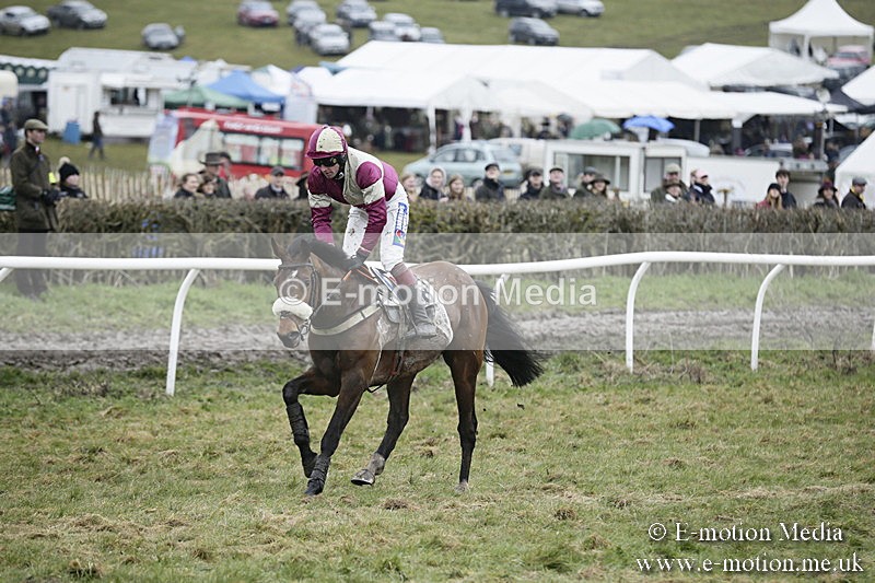 PtP 020418 -502 - Old Berks Point-to-Point Races Easter Monday 02/04/18