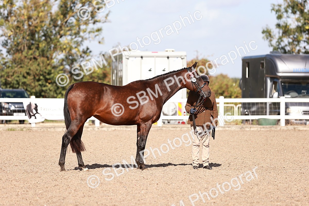 SBM_22760 - Class 705 - IH Combination 65+