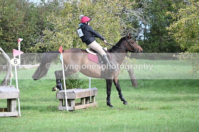 WJ7_8313 - 60cm Pairs