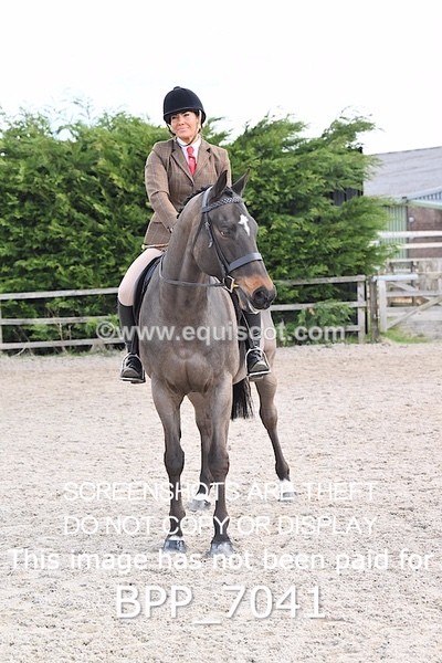 BPP_7041 - RING 1  (RIDDEN HORSES / IN HAND / VETERAN ETC)