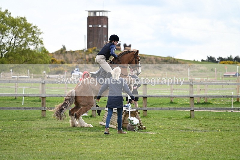 WJ7_6352 - 60cm Time 11:12 to 11:36