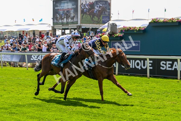 130625-Race 2-Carnation Queen-8652 - Race 2 2.25pm Coopers Marquees Rous Selling Stakes