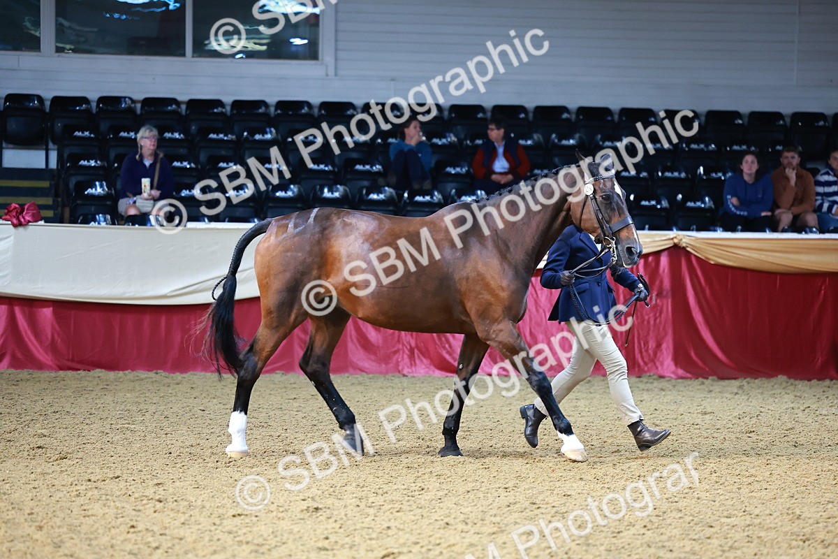 SBM_21787 - Class 901 - Supreme Final - IH  Diamond