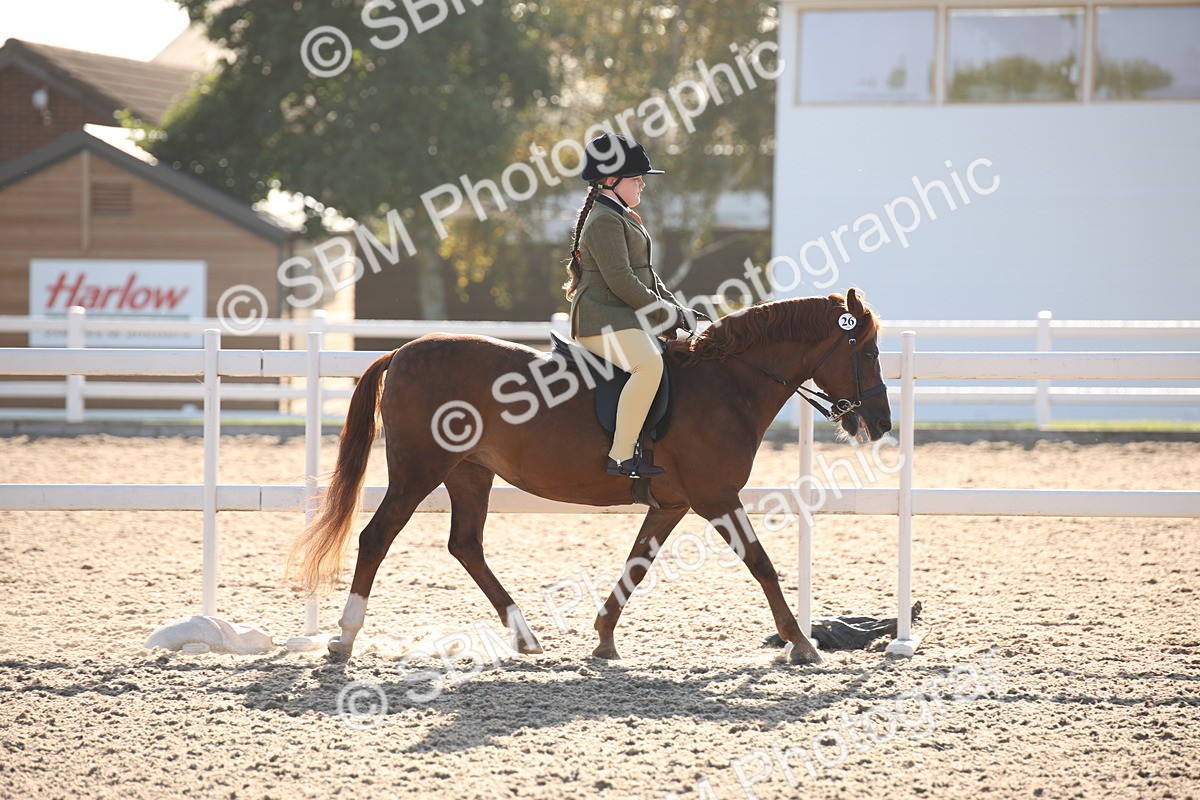 SBM_00613 - Class 14 Ridden M&M Wildcard