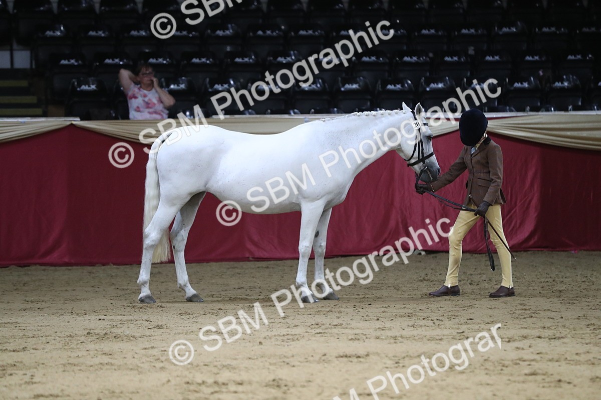 SBM_05028 - Class 8R- Regional -IH Veteran