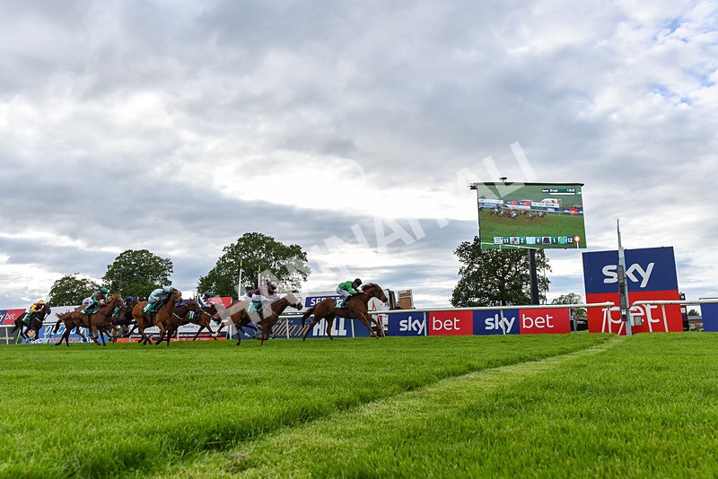 310526-Race 7-Annastarzy-9540 - Race 7 18.45pm Sky Bet Build A Bet Fillies' Handicap