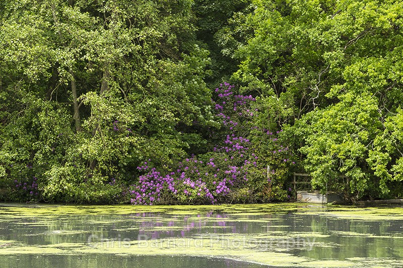  - Clumber Park Nottinghamshire