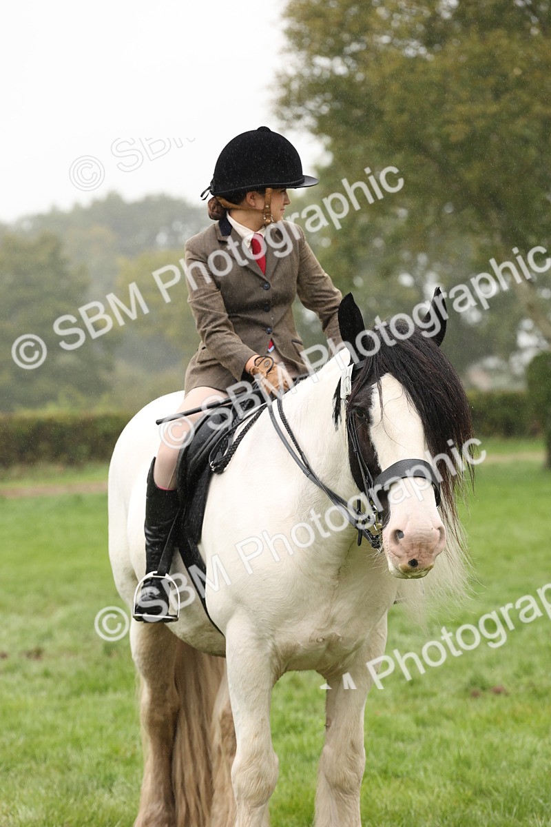 SBM_72795 - S70 - Traditional Cob Ridden