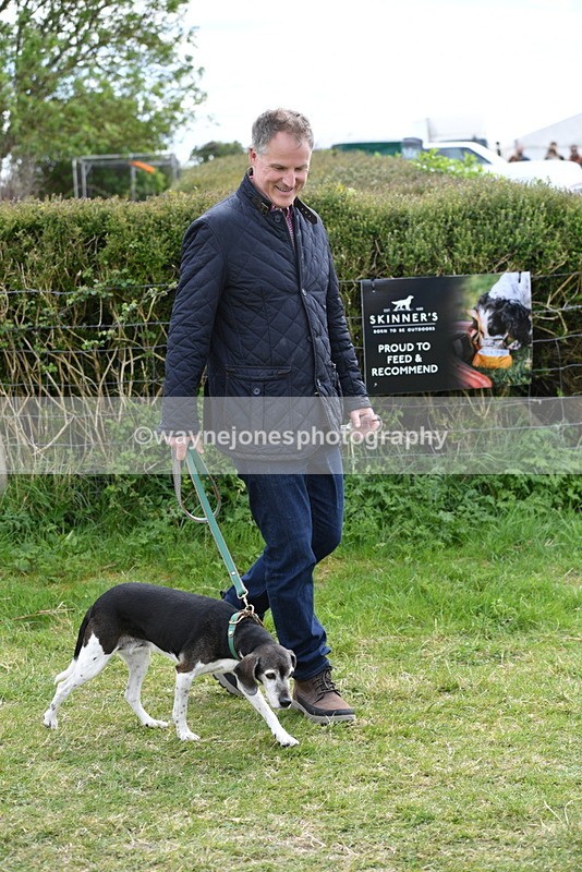 WJ5_9931 - Class 5 Best Veteran / 7 years & over