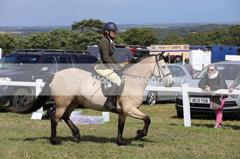 1X9A5531 - Class 38: NPS Novice Ridden Small and Large Breeds