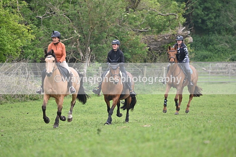 WJ6_2604 - A camera