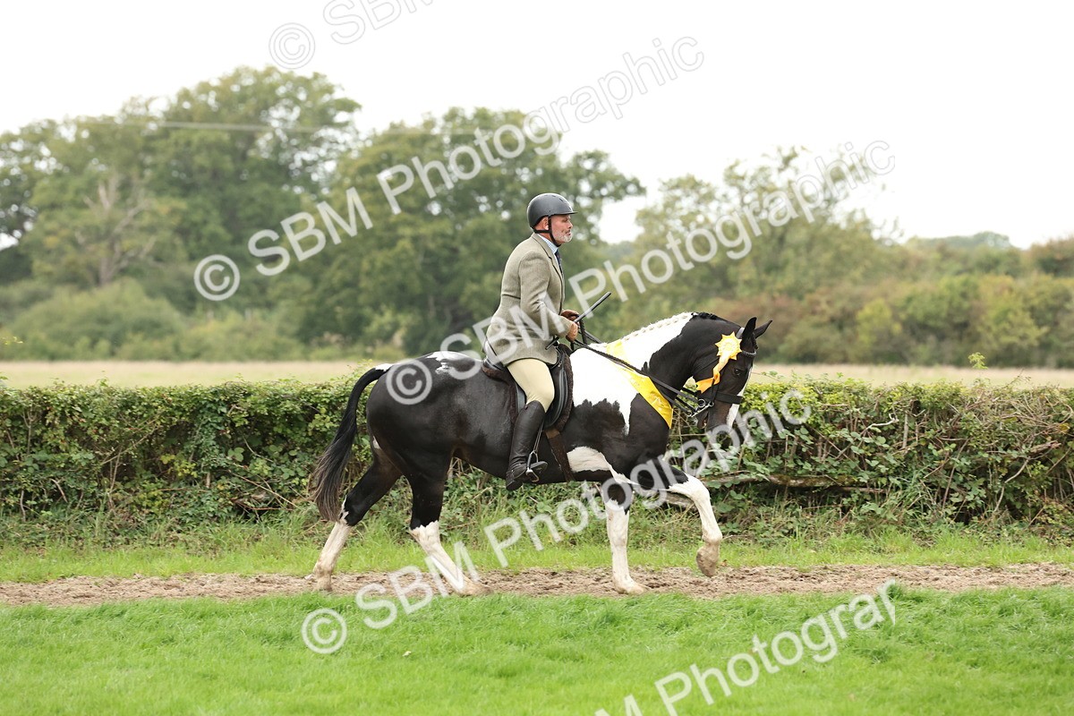 SBM_67325 - S67 - Piebald & Skewbald Horse Ridden