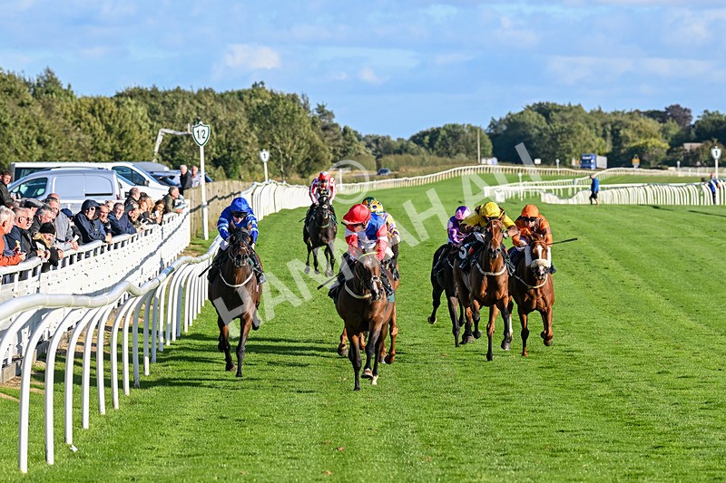 100924-Race 7-Desert Dream-0676 - Race 7